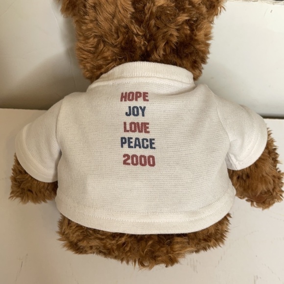 VINTAGE 2000 GUND STAR AND STRIPES WISH BEAR Brown Shaggy STUFFED ANIMAL PLUSH - Picture 3 of 10